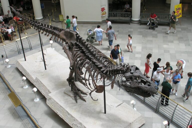 Legal Battle Over Sue the T-Rex